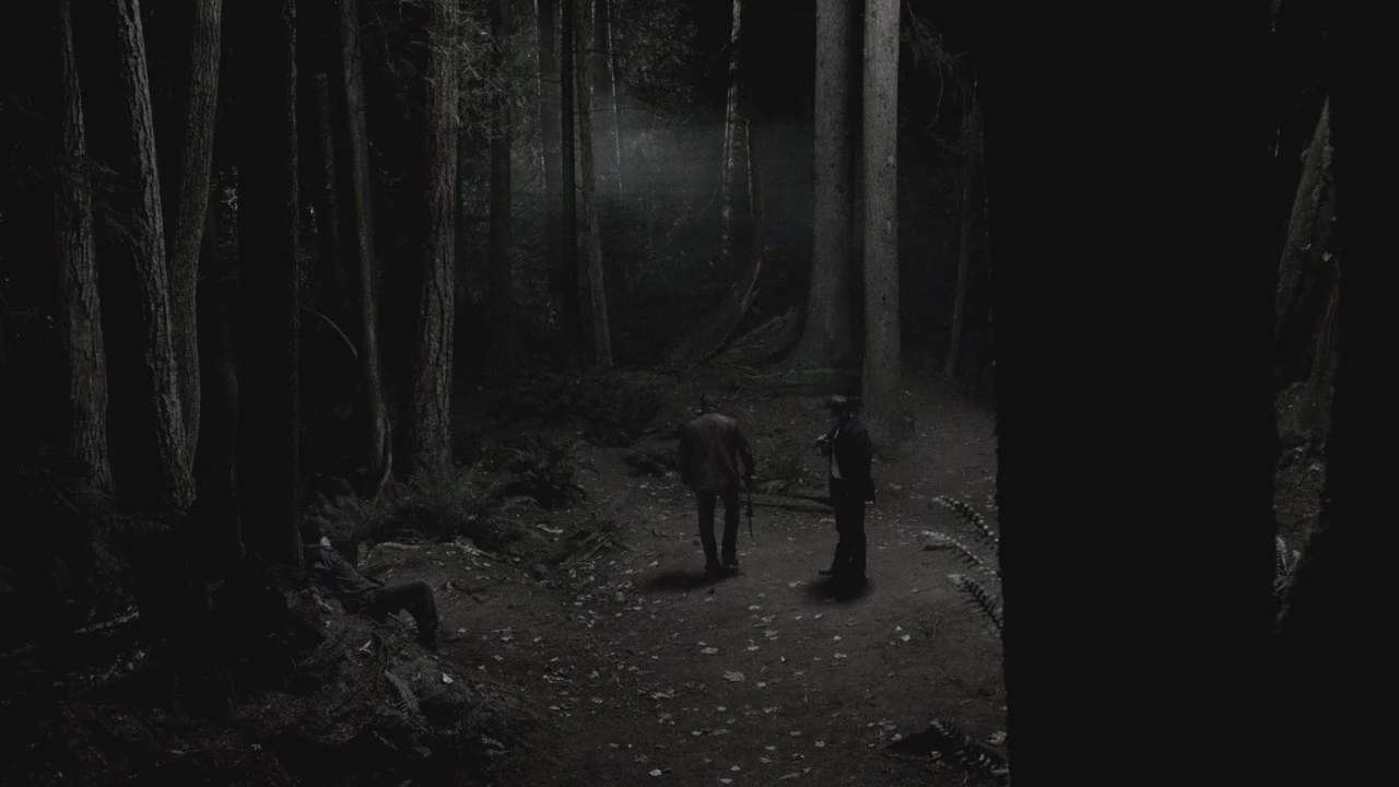 Purgatory woods